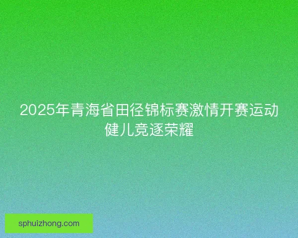 2025年青海省田径锦标赛激情开赛运动健儿竞逐荣耀